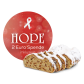 500g Dresdner Stollen ® inkl. 2 € HOPE-Spende